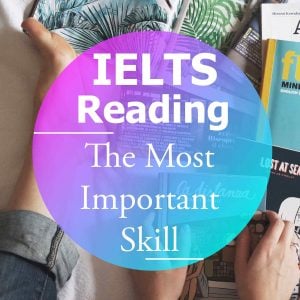 environment ielts essays