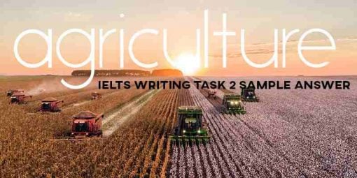 IELTS Essay Agriculture