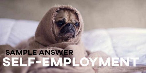 IELTS Cambridge 14 Self-Employment and Work