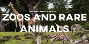 ielts writing task 2 sample answer essay zoos rare animals