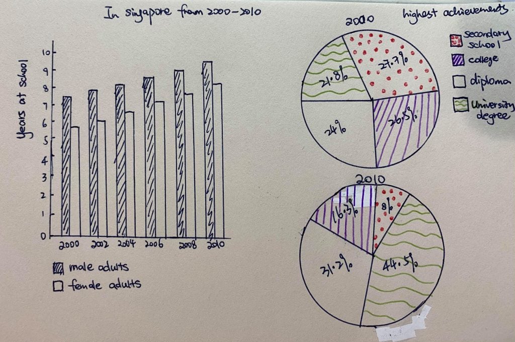 IELTS Essay: Two Graphs (Pie and Bar Charts)