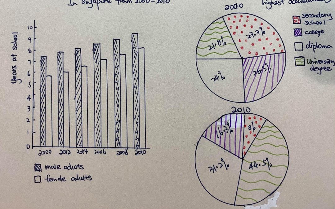 IELTS Essay: Two Graphs (Pie and Bar Charts)