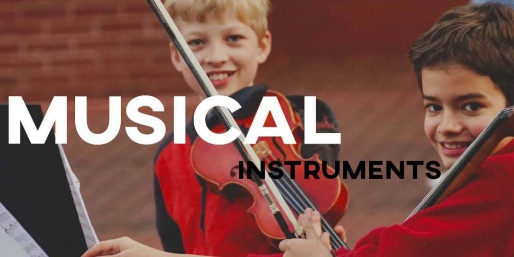 essay on musical instruments