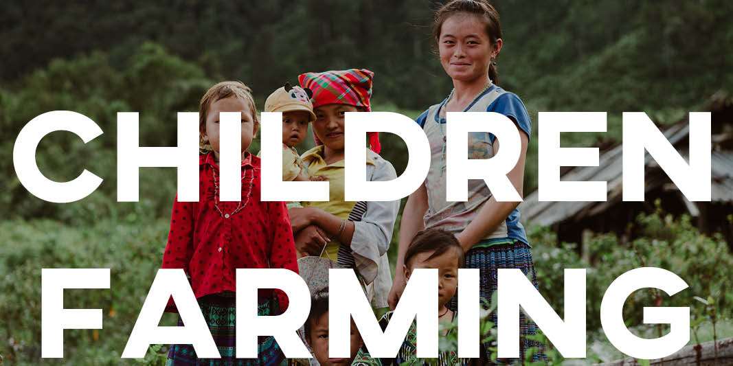 IELTS Essay: Children Farming