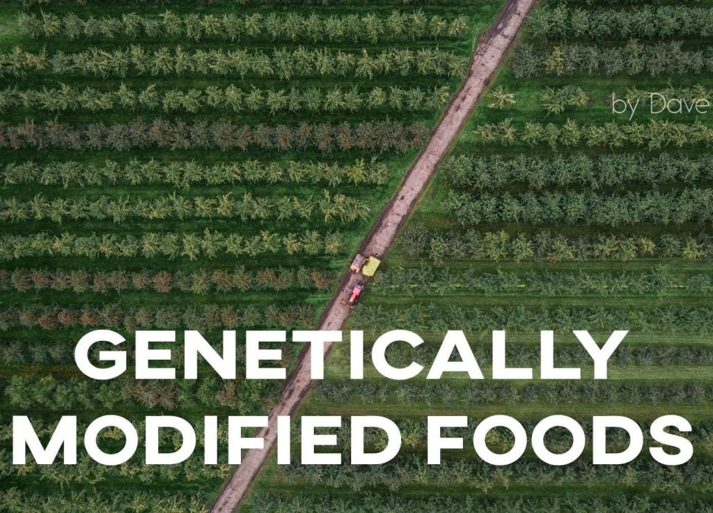 IELTS Essay: Genetically Modified Foods