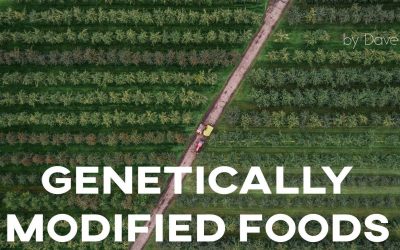 ielts essay gm foods