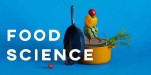 ielts essay food science