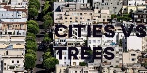 ielts essays cities and trees