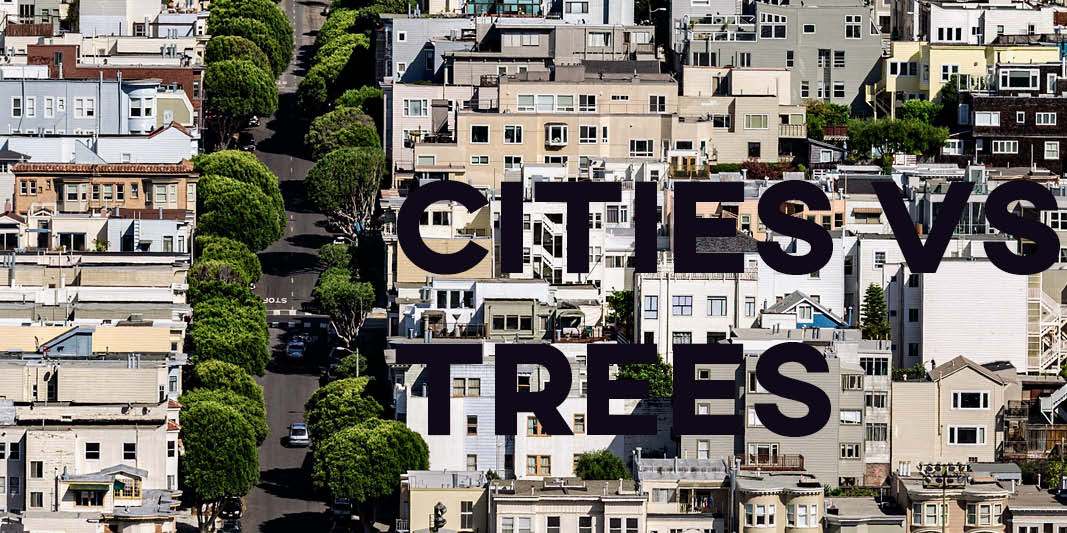 IELTS Essay: Cities vs Trees