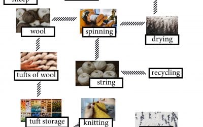 ielts essay wool