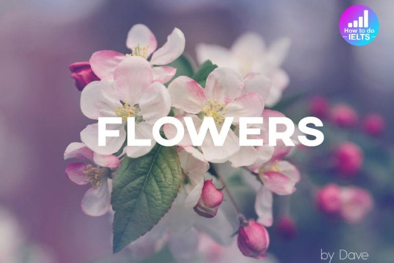 IELTS Speaking Flowers How to do IELTS
