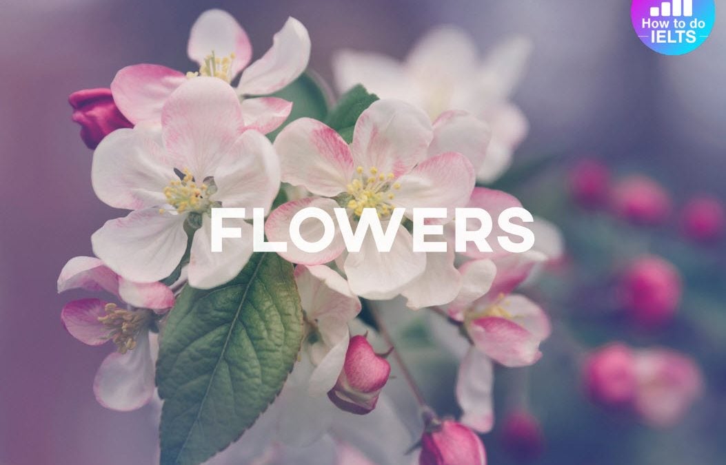 IELTS Speaking: Flowers