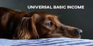 ielts essay universal basic income