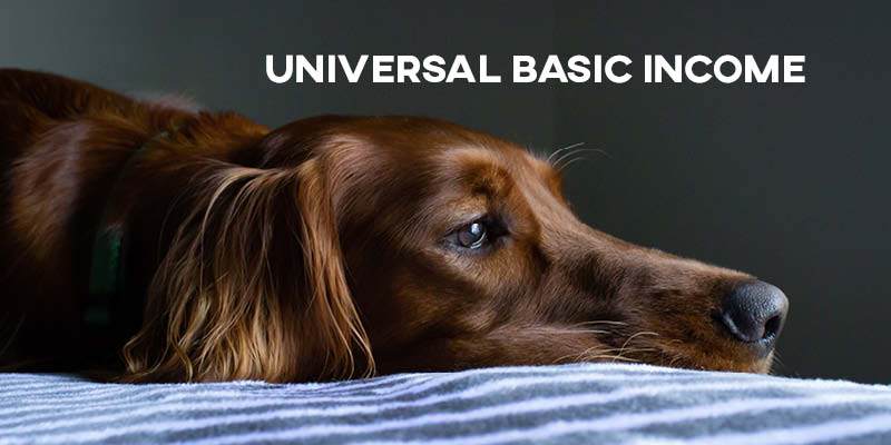 IELTS Essay: Universal Basic Income