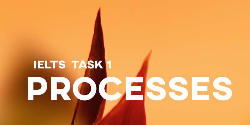 IELTS Task 1: Processes/Diagrams