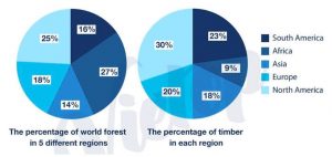 ielts essay pie charts forests