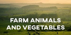 ielts Farm Animals and Vegetables