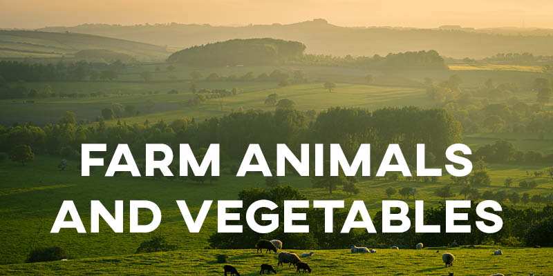 IELTS Essay: Farm Animals and Vegetables