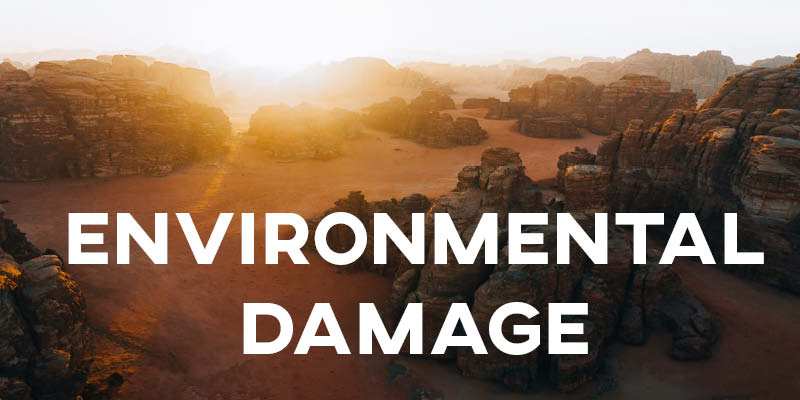 IELTS Essay: Environmental Damage
