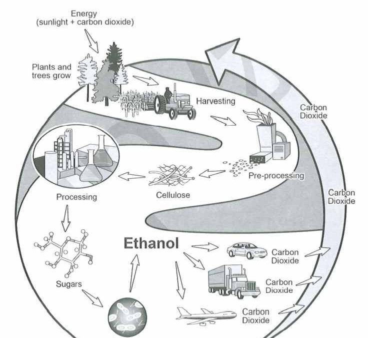 IELTS Cambridge 19 Essay: Biofuel Production / Ethanol