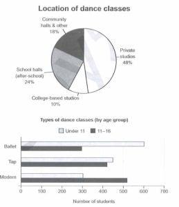 ielts 19 pie chart