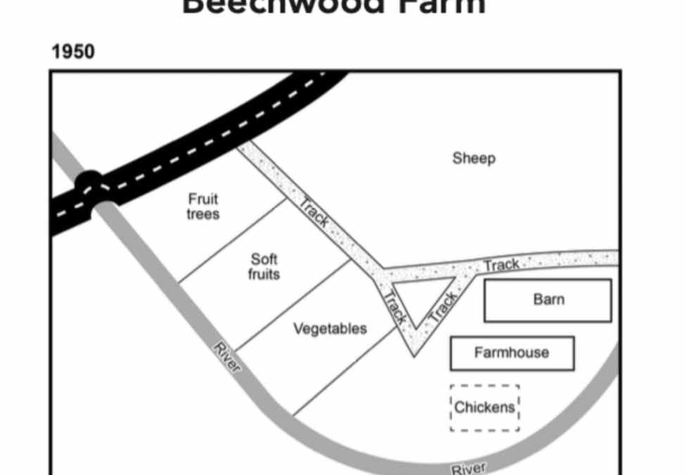 IELTS Cambridge 20 Task 1 Essay: Beechwood Farm