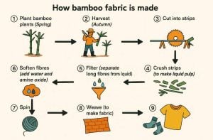 ielts 20 bamboo