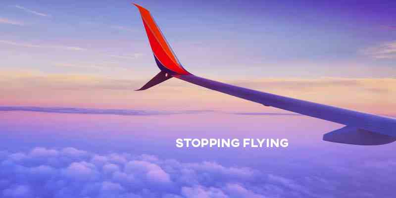 IELTS Essay: Stopping Flying