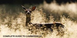 cambridge 20 guide