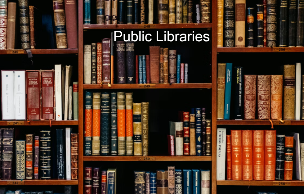 IELTS Essay: Free Public Libraries